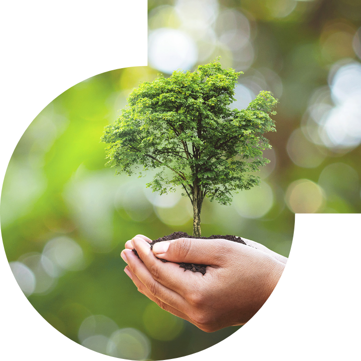 關懷人類、文化、環境與社會